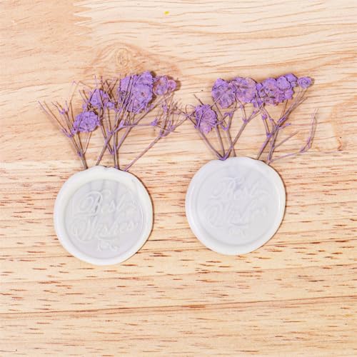 HAJHI Getrocknete Blumen Briefsiegel Hochzeit Segen Reliefs Muster Wachssiegel Selbstklebend Diy Handbuch Verpackung Dekoration Urlaub(30pcs,Purple-C) von HAJHI