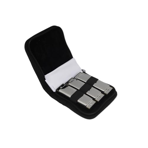 mundharmonika set Blues-Mundharmonika-Set Mit 3 Tasten (A/C/G) 10 Löcher 20 Töne Diatonisch Für Erwachsene Anfänger Profis(Silver) von HJKLBGT