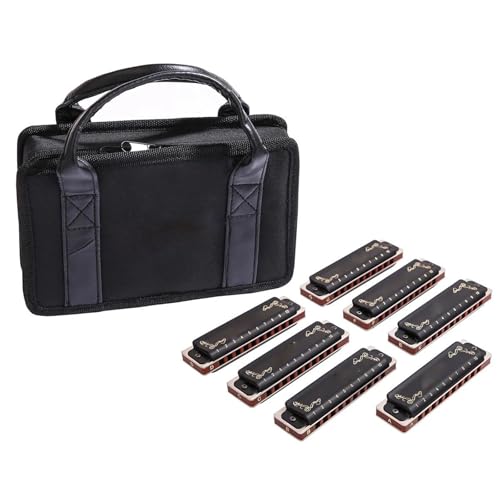 mundharmonika set Diatonische Mundharmonika 10 Löcher Blues-Mundharmonika Mundharmonika-Set 7 Mit Box Für Anfänger Und Erwachsene(Black) von HJKLBGT