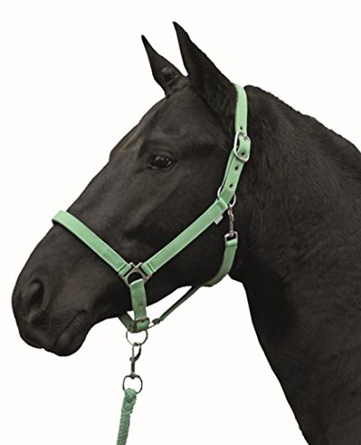 HKM Stars Economy Softice Halfter Green Pony von HKM