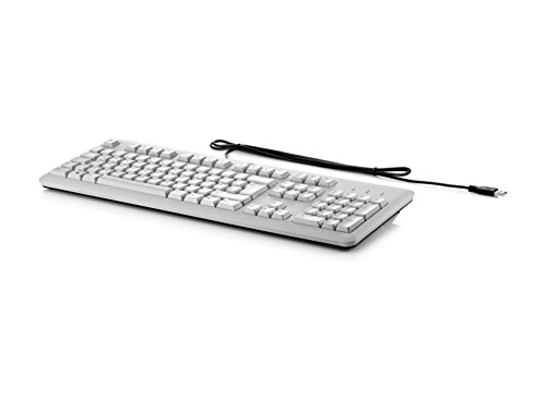 HP Tastatur Profi Flach USB (grau) – Tastaturen (Standard, kabelgebunden, USB, Tastatur, Membran, grau) von HP