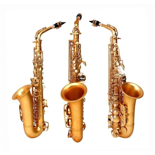 Saxophon Altsaxophon Es-Flat Goldfarbe Alto Anfänger Saxophon Komplettset Mit Tragbarer Saxophonbox Rohrblatthalterung(A) von HQWBVD