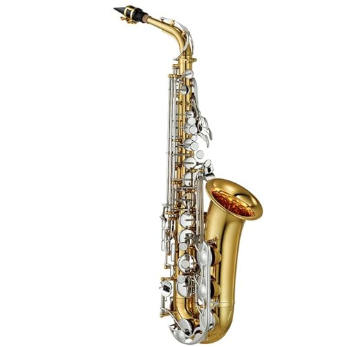 Saxophon Saxophon E-Flat Altsaxophon Erwachsene Anfängerprüfung Professionelles Leistungsinstrument(B) von HQWBVD