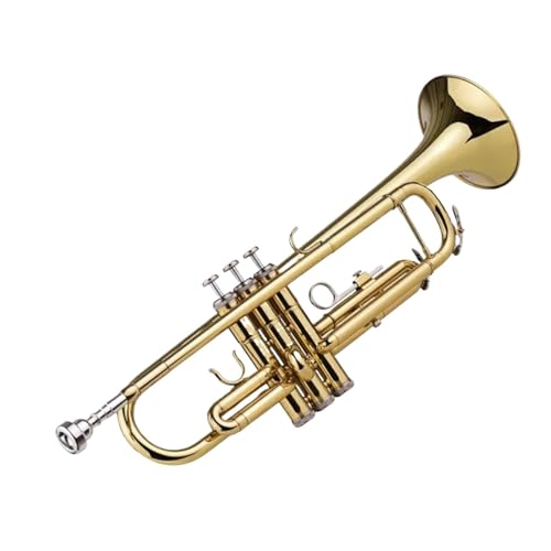 Trompete Trompete Musikinstrument B-Blechblasinstrument Professionelle Leistung Anfänger(Gold) von HQWBVD