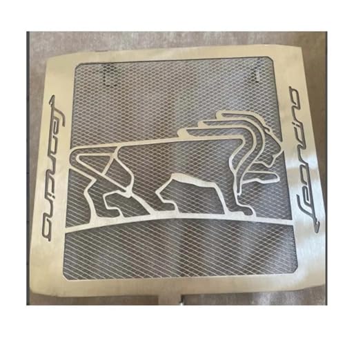 Motorrad Kühlergrill Schutz Kühlergrill Schutz Tank Schutz Abdeckung Grill Mesh Für Benelli Leoncino 500 XX 500 LeonineX 500 BJ500 von HUEKDLSW