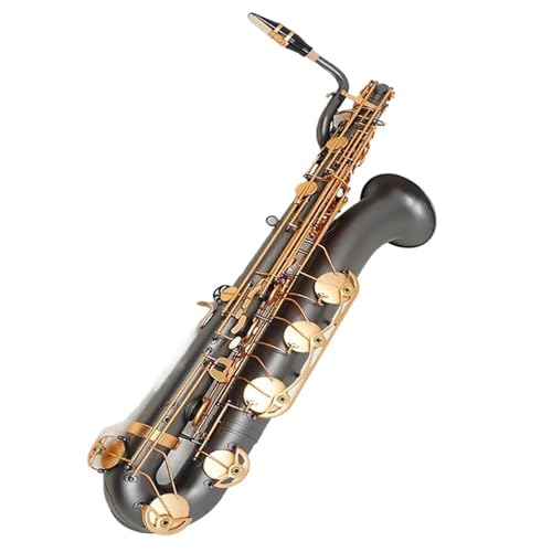 Altsaxophon E Flat Euphonium-Saxophon-Instrumente Es-Bariton-Saxophon-Musikteam Professionelle Performance-Modelle(Gray gold) von HYLQZAT