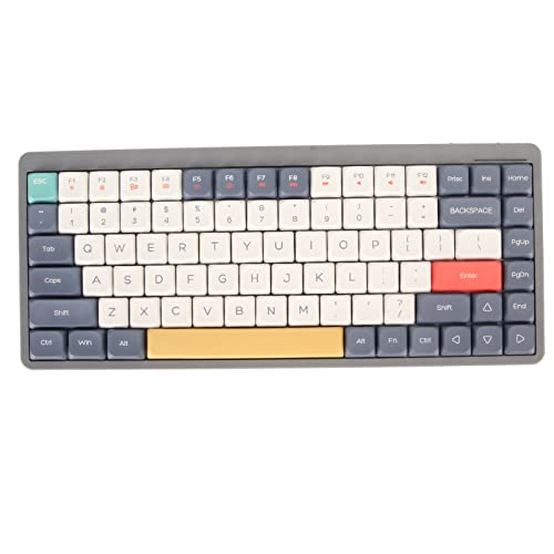 Haofy Kabellose Mechanische Tastatur, 2,4 G, Kabellos, 84 Tasten, Tastatur, 3 Modi, 4 Seitenlicht, 5.0 für OS X für (Typ 2) von Haofy