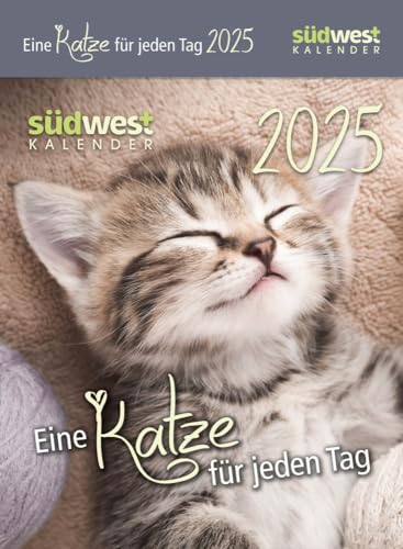 Eine Katze für jeden Tag - Tagesabreißkalender 2025 zum Aufstellen oder Aufhängen - Südwest-Verlag - Aufstellkalender - 11 cm x 15 cm von Harenberg