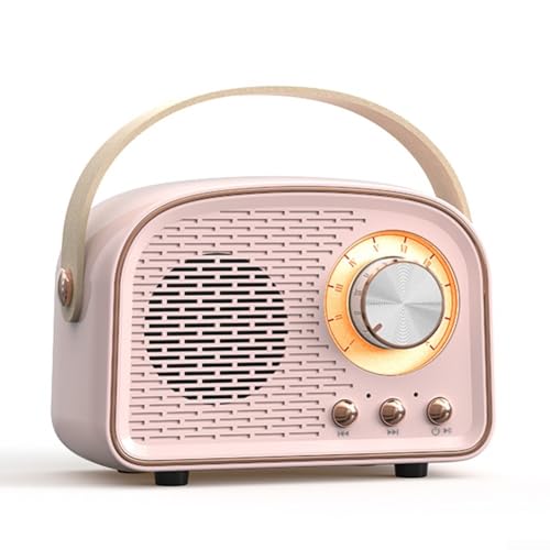 Hasaller Retro-Radio, kabelloser Mini-Lautsprecher, tragbarer Lautsprecher mit FM-Radio, kleiner Blauzahn-Lautsprecher, Retro-Radio, Blauzahn-Lautsprecher, wiederaufladbar, laute Lautstärke, von Hasaller