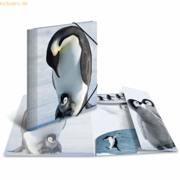 3 x HERMA Sammelmappe Glossy Tiere A4 PP Pinguine von Herma