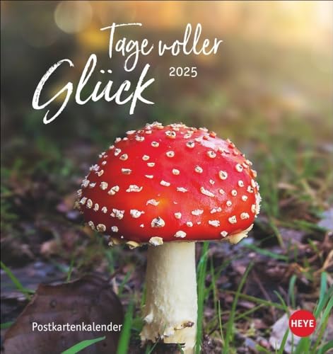 Tage voller Glück Postkartenkalender 2025: Kalender mit Postkarten zum Sammeln oder Verschicken. Inspirierende Fotos mit Sprüchen. Fotokalender zum Aufstellen oder Aufhängen. (Postkartenkalender Heye) von Heye