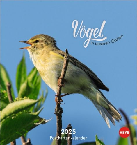 Vögel in unseren Gärten Postkartenkalender 2025: Ein kleiner Kalender zum Aufstellen und Aufhängen mit den 12 häufigsten Gartenvogelarten. ... zum Heraustrennen. (Postkartenkalender Heye) von Heye