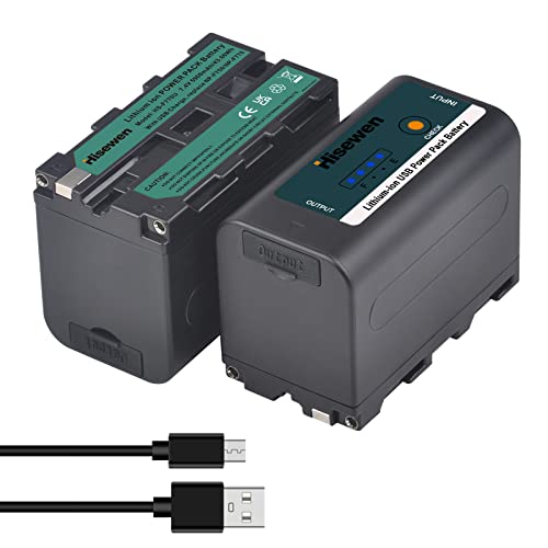 Hisewen 2er Pack NP-F750 Akku mit USB-Ladeanschluss für Sony NPF F960 F970 F750 F550 F980 F930 F770, NP-F Akkus für YONGNUO Godox LED-Videoleuchte YN660 LED308 von Hisewen