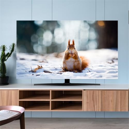 Hixingo TV Schutzhülle für Den, Hülle Bezug Staubschutz für Fernsehen Und Monitor, TV-Abdeckung mit Tier Drucken, Fernsehschutz Für Zuhause Innenbereich 32 bis 80 Zoll (40-43",Eichhörnchen) von Hixingo