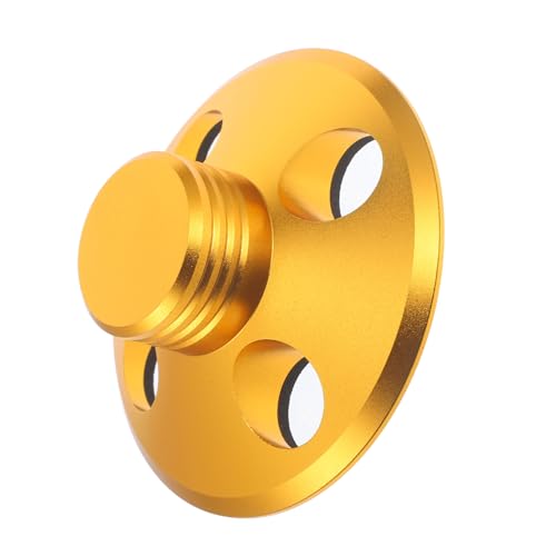 Homoyoyo Vinyl-Plattenspieler Schallplattenklemme Gewichtsstabilisator Für Schallplatten Stabilisator Der Plattenspielerscheibe Vinylgewicht Gewicht Der Schallplatte Golden Gefühlt von Homoyoyo