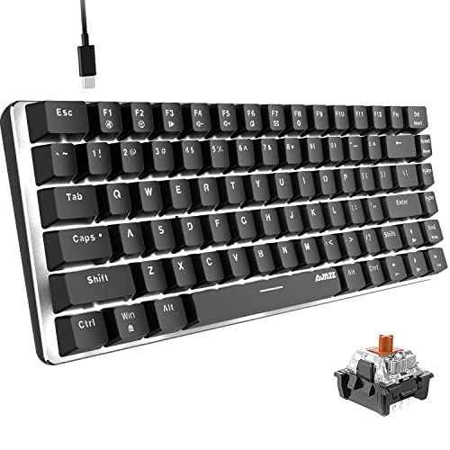 Hoopond AK33 Mechanische Gaming-Tastatur,weiße LED-Backlight,USB-Kabel,82 Tasten,kompakte mechanische Gaming-Tastatur mit Anti-Ghosting-Tasten für Gamer und Schreibkräfte (brauner Schalter,schwarz) von Hoopond