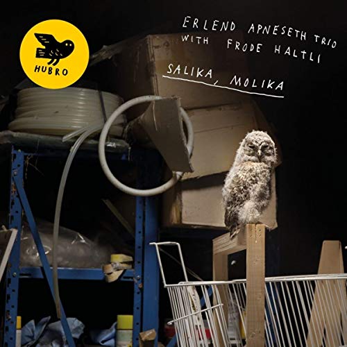 Salika, Molika [Vinyl LP] von Hubro (Broken Silence)