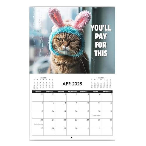 Katzenkalender 2025, Wandkalender, Kunst, wütende Katze, Kalender, lustiger Monatsplaner 2025, Kalender 2025, monatlicher Hängekalender für Schlafzimmer, Wohnzimmer von Hugsweet