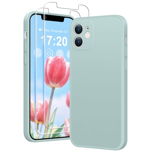 HuwaiH 3 in 1 Hülle für iPhone 11,Liquid Silikon Hülle mit 2 Stück 9H 0.33mm Panzerglas, Upgraded Kameraschutz, Soft Mikrofaserfutter Kratzfeste Stoßfeste Handyhülle für iPhone 11(hellblau) von HuwaiH