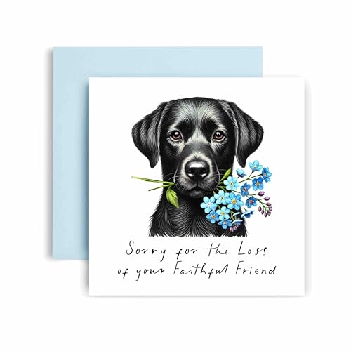 Huxters Sorry for Loss of Dog - Black Labrador - Condolences to Dog Mum and Dog Dad - Dog Best Faithful Friend Deepest Sympathy (Black Labrador) von Huxters