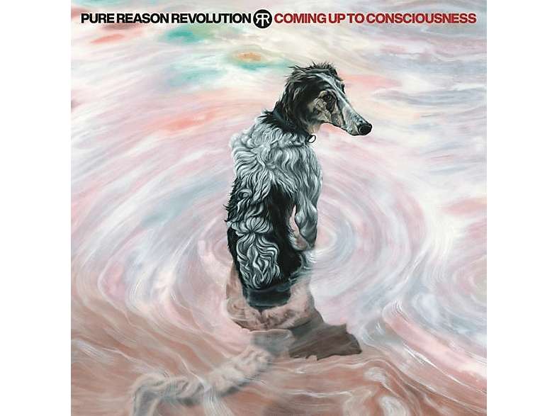 Pure Reason Revolution - Coming Up To Consciousness (CD) von INSIDEOUTMUSIC