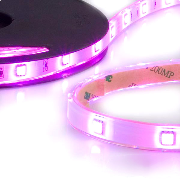 ISOLED LED AQUA-RGB-Flexband, 24V, 7,2W, IP68 von ISOLED