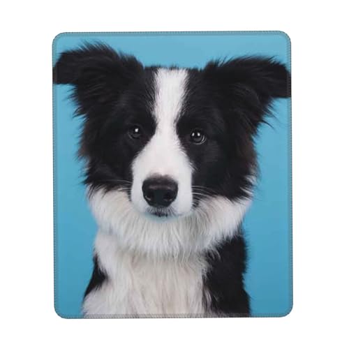 Border Collie Mauspad, Komfort-Mauspad mit rutschfester Gummiunterseite, Laptop, waschbares, kabelloses Mauspad, Verriegelungskante, Mauspad für Gaming und Arbeit, 21,6 x 26,2 cm von IguaTu