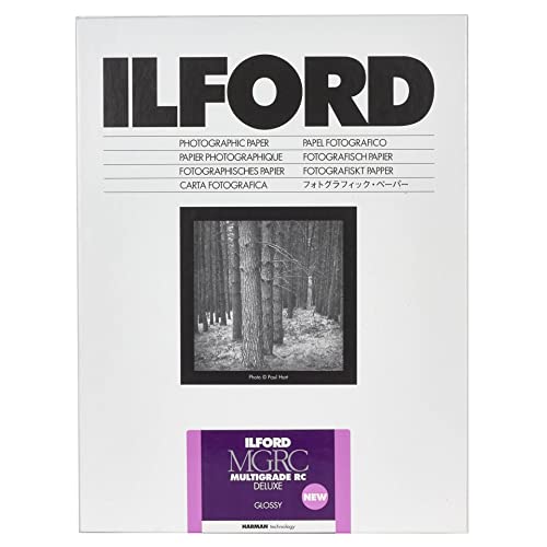 Ilford 1 x 100 MG RC DL 1M 10,5 x 14,8 von Ilford