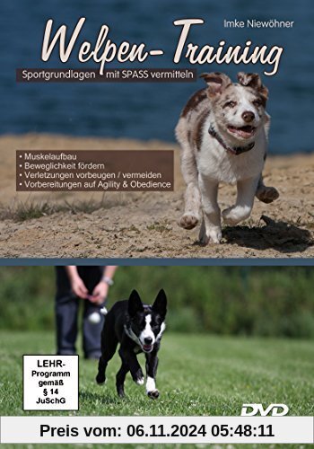 Welpen-Training - Sportgrundlagen mit Spass vermitteln [2 DVDs] von Imke Niewöhner