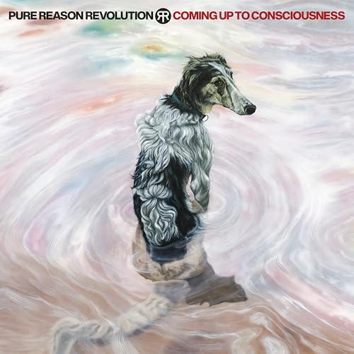 Coming Up to Consciousness [Vinyl LP] von Insideoutmusic (Sony Music)