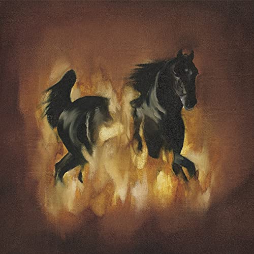 Are the Dark Horse [Vinyl LP] von JAGJAGUWAR