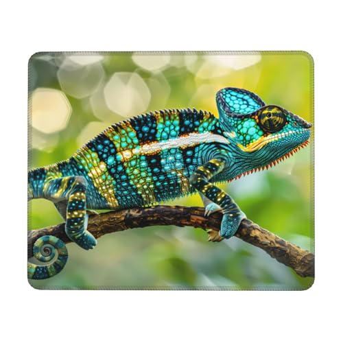 Chameleon On Branch Mauspad mit genähtem Rand, kleine Schreibtischunterlage für kabellose Maus, Büro, Gaming, Arbeiten, 25,4 x 30,5 cm von JDFHGNU