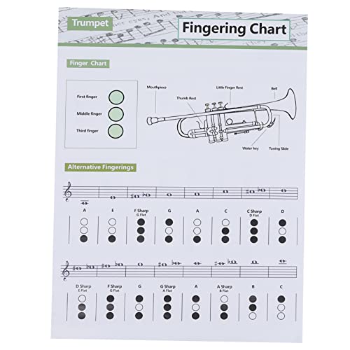 JEWEDECO 1stk Akkordgrifftabelle Fingertabelle Für Trompetenskalen Trompetenplakat Akkorddiagramm Der Trompete Trompetendiagramm-lernanleitung Gitarren-akkordtabelle Beschichtetes Papier von JEWEDECO