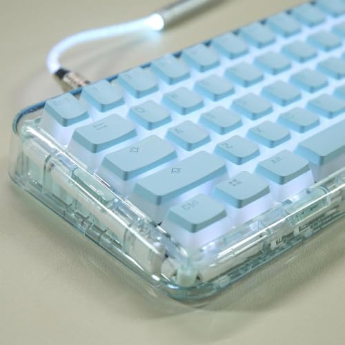 JGHFReW Benutzerdefiniertes OEM-Profil 117-Tasten-Double-Shot-PBT-Tastenkappen-Set Kompatibel mit mechanische Gaming-Tastaturen, kompatibel mit MX-Schaltern(Blue) von JGHFReW