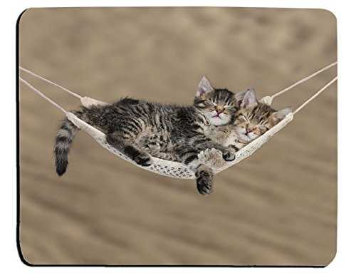 JIMOWANG Cute Tabby Kittens Sleeping Gaming Mouse Pad Smooth Surface Mousepad Rubber Mouse Pads 9.5 X 7.9 Inch von JIMOWANG