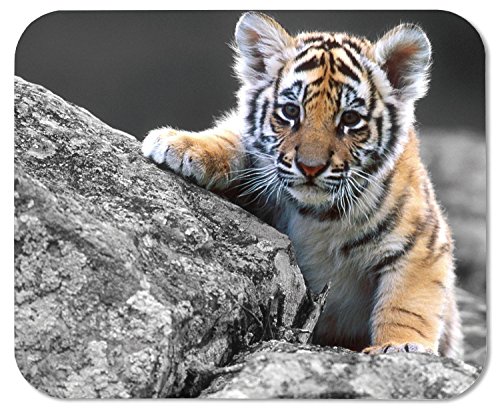 JIMOWANG Cute Tiger Gaming Mouse Pad Smooth Surface Mousepad Rubber Mouse Pads 9.5 X 7.9 Inch von JIMOWANG