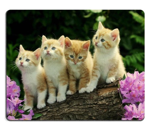 JIMOWANG Kitten Flower Cute Funny Group Cat Gaming Mouse Pad Smooth Surface Mousepad Rubber Mouse Pads 9.5 X 7.9 Inch von JIMOWANG