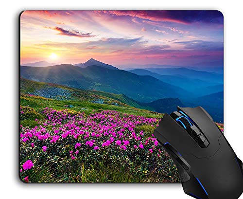 JIMOWANG Nature Purple Flowers Meadow Mountain Gaming Mouse Pad Smooth Surface Mousepad Rubber Mouse Pads 9.5 X 7.9 Inch von JIMOWANG