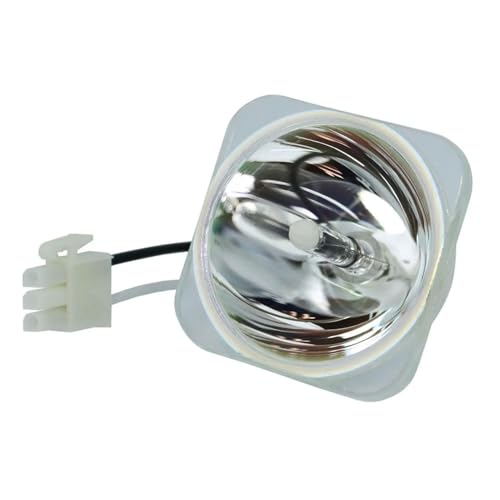 Hochwertige Ersatz-Projektorlampe, kompatibel mit 5J.J5205.001 for MS500, MW814ST, MX501, MS500 Plus, MS500P, MS500 V, MX501 V-Projektoren(5J.J5205.001-CB) von JKGVNCT