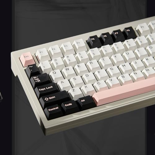 JOLINTAL 160 Tasten OV-Tastatur, PBT Material Cherry Profile Keycap, Double Shot Keycaps with Additional Keys for DIY, Pink and White Color Scheme Simple and Exquisite, Suit for Mechanische Keyboard von JOLINTAL