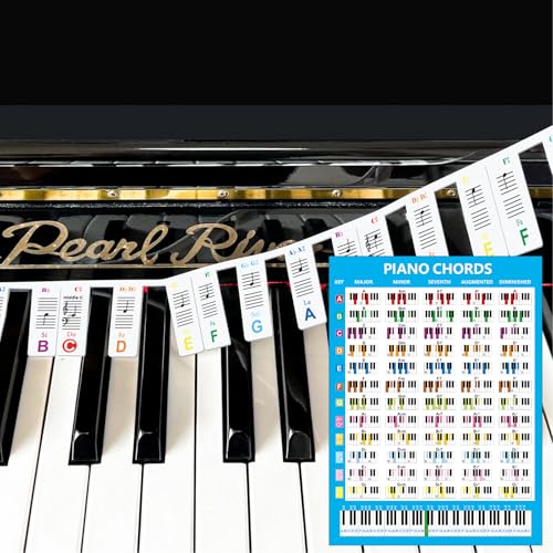 Bunte abnehmbare Piano Keyboard Note Etiketten mit Klavier Akkord Chart Poster, Silikon Piano Noten Aufkleber Guide für Anfänger, wiederverwendbar 88 Key Full Size Piano von JYCSTE