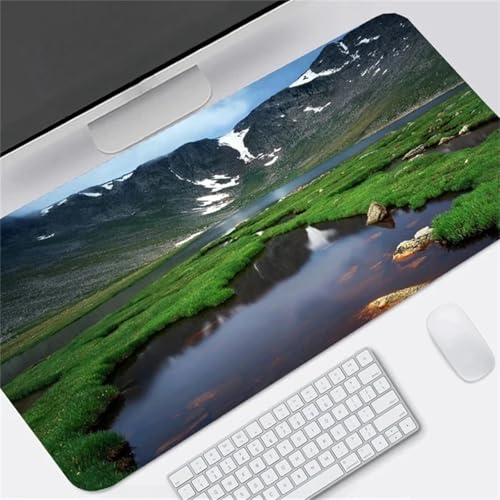 Naturlandschaft Übergröße Mauspad Gaming,Mousepad Groß,Vernähte Kanten Mouse Pad rutschfest,Tischunterlage Large Size für Home Office 900x300x3mm von Januave