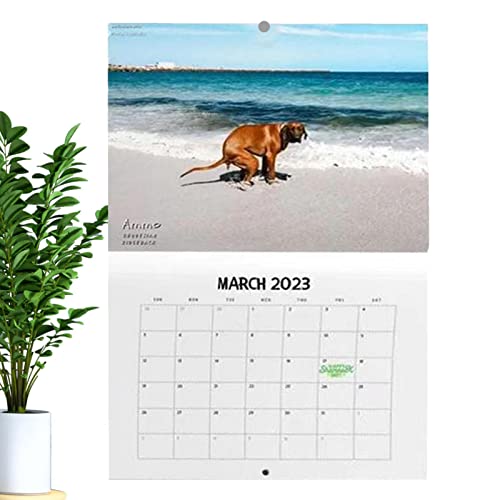 Hundekalender – 2023 lustiger Monatskalender, Schreibtischkalender, Gag-Geschenke, Urlaubserinnerungen für eine bessere Zeit, Organizer, 21,6 x 14,8 cm, Wand- und Schreibtischkalender mit monatlichen von Jildouf