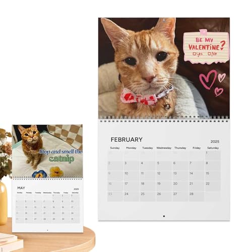 Wandkalender 2025, 12 Monate, Tierkatzen-Wanddekoration, Planerkalender zum Organisieren und Planen, bezaubernde Katzenbilder für Zuhause oder Büro, perfekt für Katzenliebhaber von Jubepk