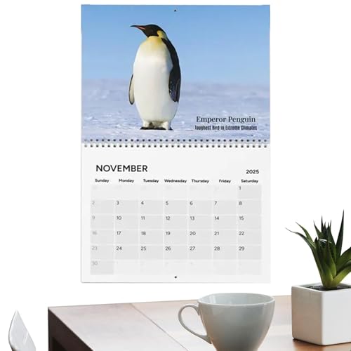 2025 Bird Wall Calendar | Monthly Decorative Calendar With Stunning Bird Artwork | Multipurpose Wall Calendar For Home And | Elegant Wall Hanging Decoration von Jyxuyy