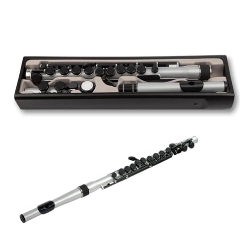 Flöte Anfänger Professionelle Flöte Tragbare Flöte Querflöte Instrument(Silver) von KAILNDF