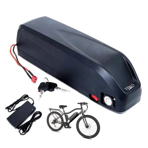 Elektrofahrrad, 48 V, 10 Ah/12 Ah/14 Ah, mit USB-Anschluss, BMS und Ladegerät, Anderson-Stecker, für 200 W-1000 W E-Bike-Motorrad-Motor (T,10 Ah) von KOQAWSC