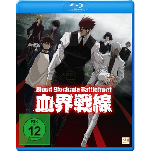 Blood Blockade Battlefront: Volume 1-3      (3 Blu-rays + CD) von KSM Anime