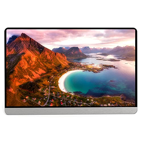 Karlak 16,1-Zoll-Ultra-Slim-Monitor mit Typ-C-Mini-HD-Anschlüssen für PC-Telefon-Tablet-Spielekonsole 1080P IPS/USB-C-betrieben/HDR/versteckter Ständer US-Stecker von Karlak