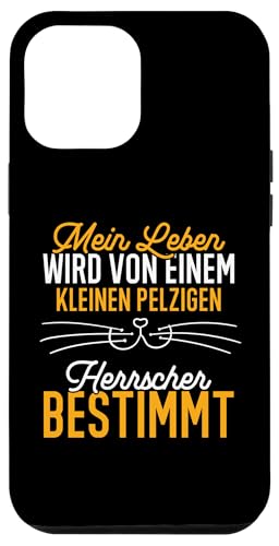 Hülle für iPhone 15 Plus Einem Kleinen Pelzigen Herrscher Katze Katzen von Katzenbesitzer Katze Spruch